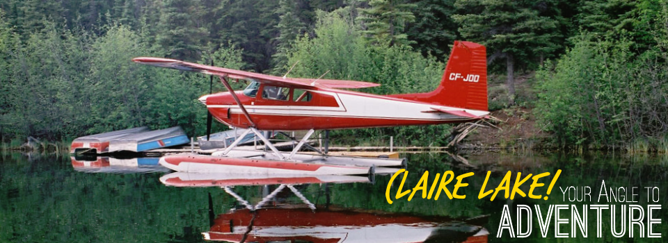 Claire Lake Gallery Plane