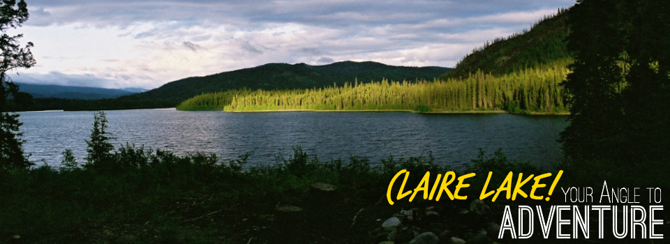 Claire Lake Gallery Postcard