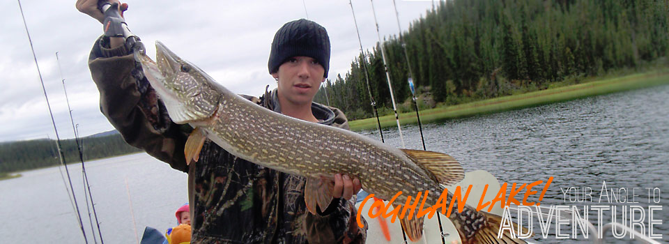 Coghlan Angle 15