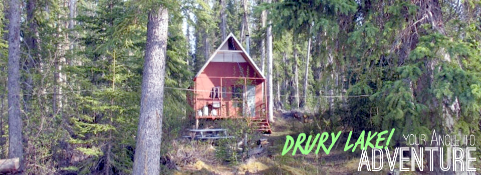 Drury Angle Gallery Cabin