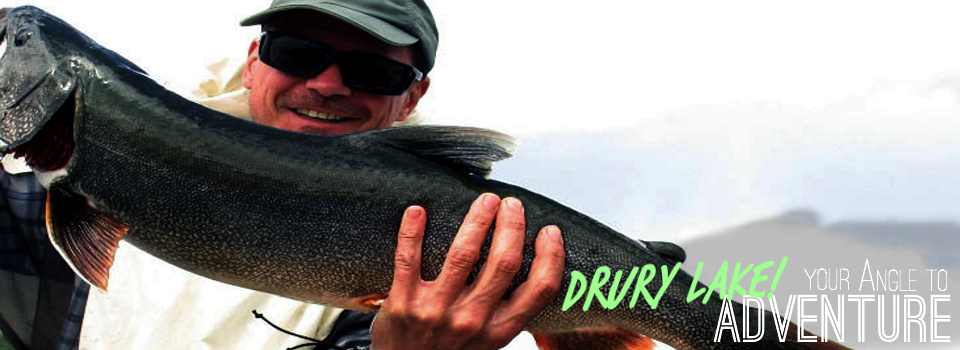Drury Angle Gallery Catch