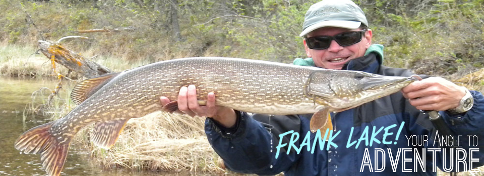 Frank Angle 1