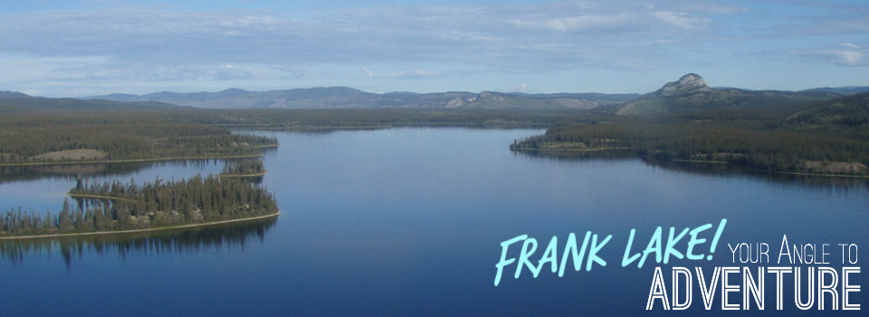 Frank Angle 2