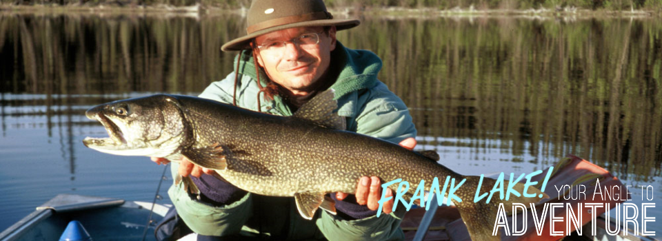 Frank Angle 3