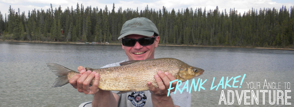 Frank Angle 6