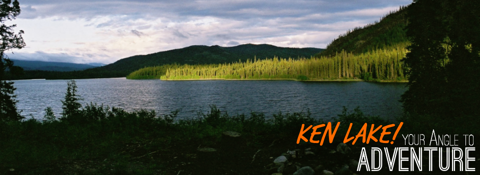 Ken Lake Gallery Postcard