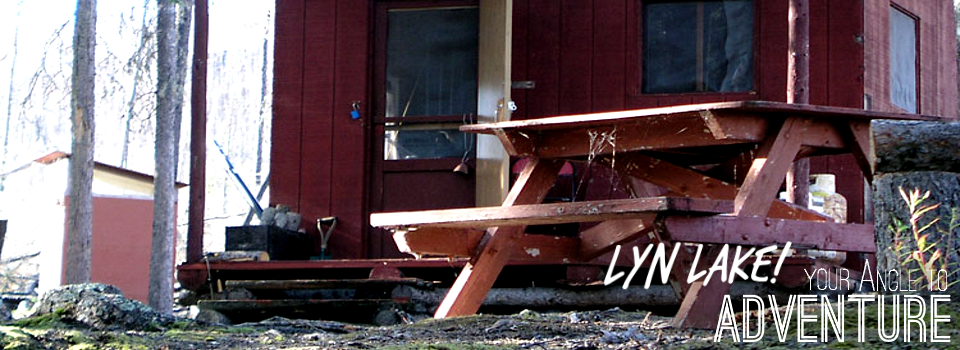 Lyn Angle Lake Gallery Cabin
