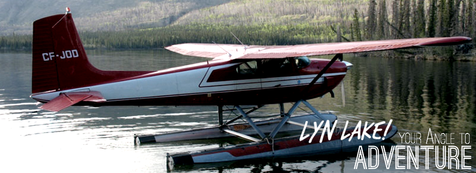 Lyn Angle Lake Gallery Plane