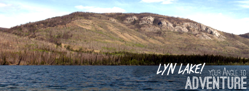 Lyn Angle Lake Gallery Scenic