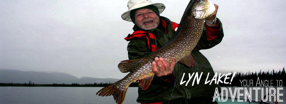 Lyn Angle Lake Gallery Win