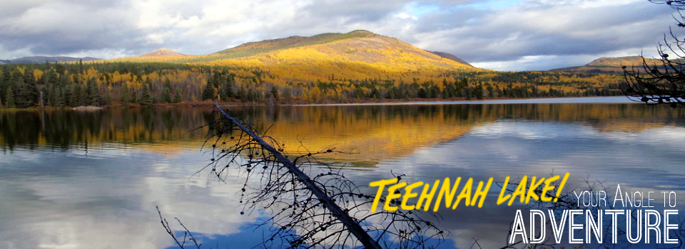 Teehnah Angle Gallery Lake