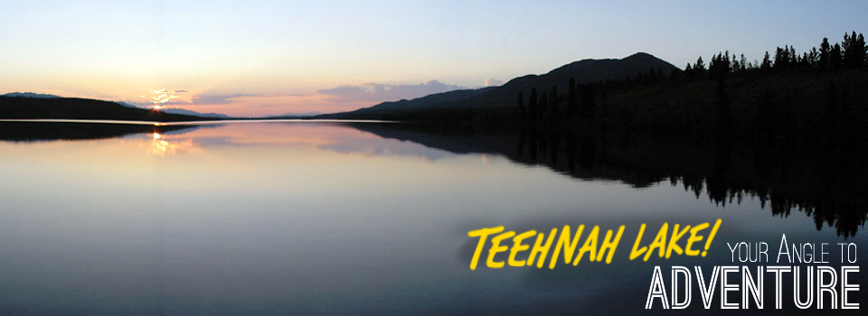 Teehnah Angle Sunset