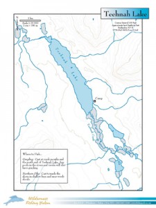 Teenah-Lake-Yukon-Map